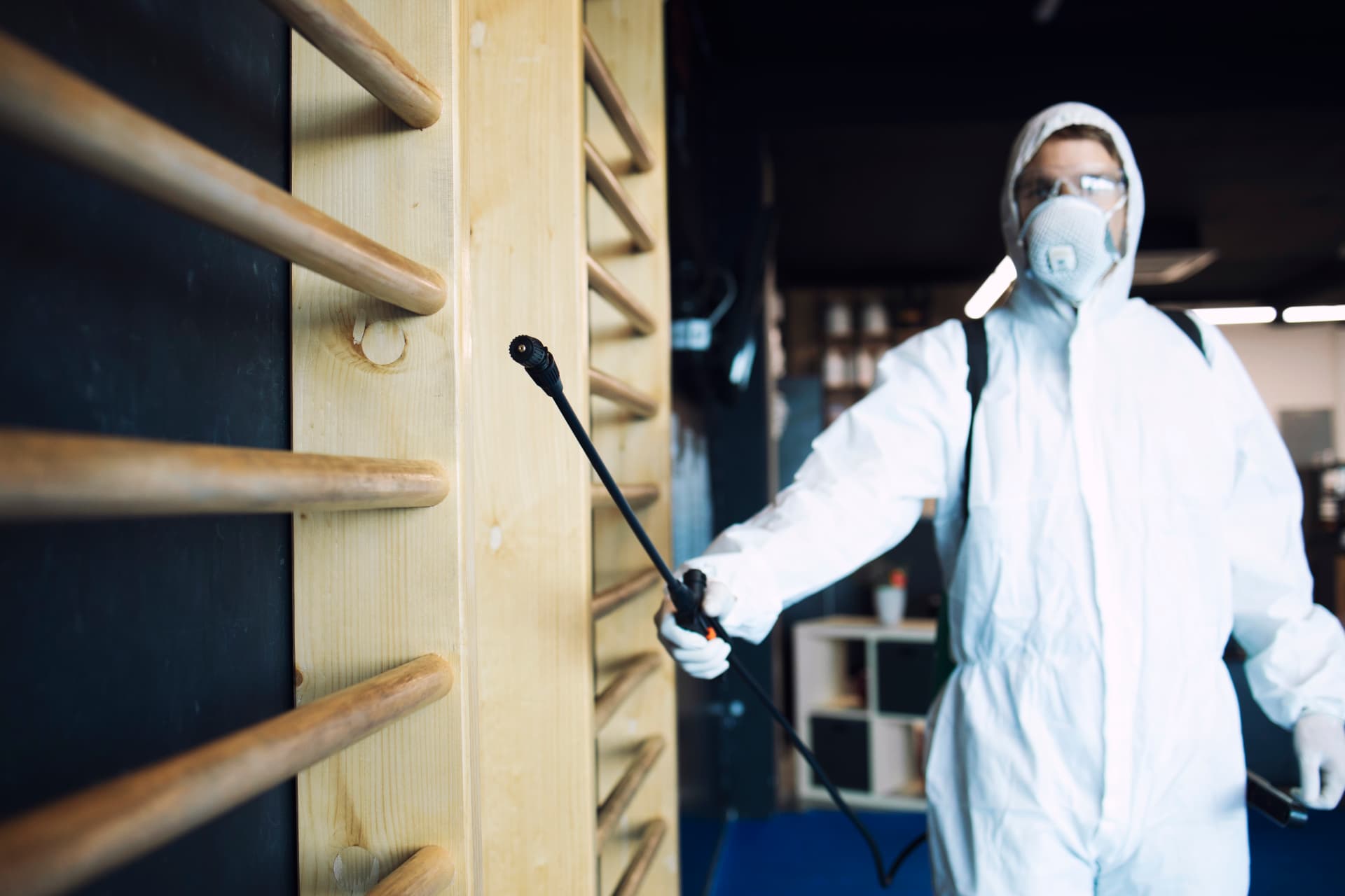 Illustration de l'article « Conciergeries Airbnb : votre check-list anti-nuisibles entre deux séjours » — Chabrier Nuisibles